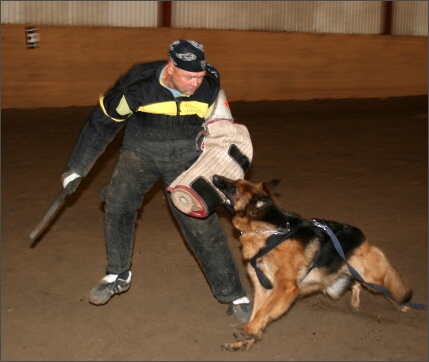 Training in Estonia 11/2007